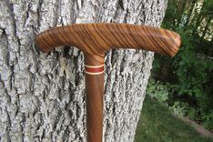 Walking Cane - Zebrawood - Walnut - Accent Ash And Bloodwood 37 2 small
