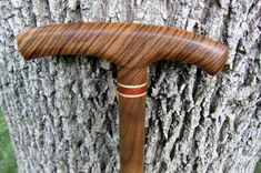 Walking Cane - Zebrawood - Walnut - Accent Ash And Bloodwood 37 1 small