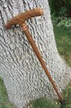 Walking Cane - Zebrawood - Walnut - Accent Ash And Bloodwood 37 5 small