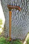 Walking Cane/ Walking Stick Made Of Amazakoue, African Blackwood, Brazilian Teak 36 1/2 2 small