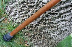 Walking Stick / Walking Cane - East Indian Rosewood, Ebony, And Brazilian Cherry 4 small