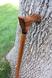 Walking Cane - Tigerwood (Concalo Alves), African Blackwood, Brazilian Cherry 36 5 small