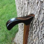 Heavy Duty Walking Cane/ Walking Stick - Black Walnut (American) 1 small