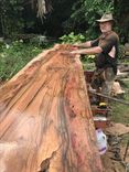 Exotic Wood Bar Tops, Live Edge And Hand Crafted 6 small