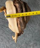 Juniper Turkey Taxidermy Pedestal 5 small