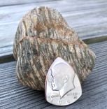 Coin Guitar Picks-Silver 4 small