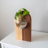 Propagation Vase - Fly Me To The Moon 4 small
