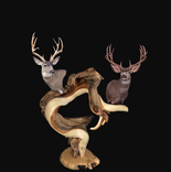 Triple Head Juniper Taxidermy Pedestal 1 small