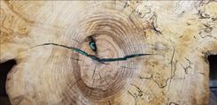 Live Edge Epoxy Tabletop Spalted Sycamore 6 small