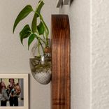 Propagation Vase - Fly Me To The Moon 2 small