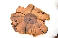 Grapevine Coaster Set - Made From Retired Ca Grapevines 4 small