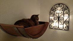 Wine Barrel Hanging Cat Bed - Birala - Made From Retired California Wine Barrels 5 small
