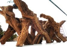 Grapevine Coffee Table - Alionza - Made From Retired California Grapevines. 100% Recycled! 2 small