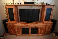 Entertainment Centers 3 small