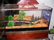 Out Of The Mountains 2 small