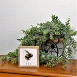 Wood Sign Honey Bee Decor Bee Lover Gift 3 small