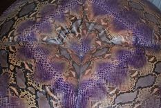 Python Ottoman 1 small