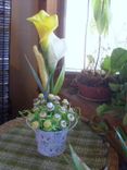 Calla Lily And Yellow Buttons Bridal Bouquet 4 small