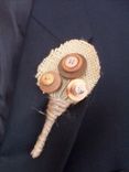 Rustic Buttons Wedding Boutonniere 3 small