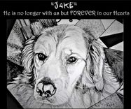 Pet Memorial Portrait, Pet Portrait, Pet Memorial, Rainbow Bridge 5 small