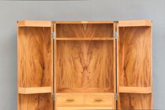 The Vice Cabinet 13 small