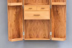 The Vice Cabinet 14 small