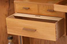 The Vice Cabinet 17 small