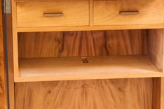 The Vice Cabinet 19 small