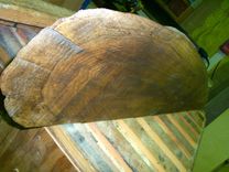 Live Edge Wood Shelf 1 small