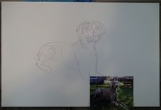 Elsa Unplugged A Pet Portrait 4 small