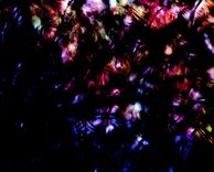 Digital Paintings 1 small