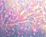 Digital Paintings 3 small