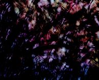 Digital Paintings 4 small