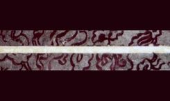 Wedding Album And Guestbook 4 small