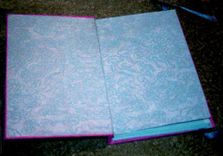 Blank Journals 3 small