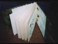 Irish Travel Journal 2 small