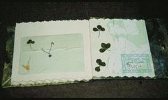 Irish Travel Journal 4 small