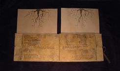 Family Tree Book 2 small