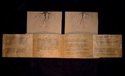 Family Tree Book 3 small