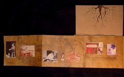 Family Tree Book 4 small