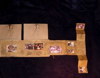 Family Tree Book 5 small