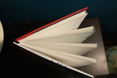 Pixie Cold Limited-Edition Licensed "Flora" Sketchbook 11x7" 4 small