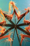 Rise Up Star Book 3 small