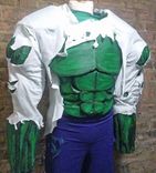 Hulk Costume 1 small