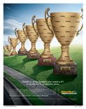 Custom Wooden Trophy Promotional Pieces 3 small