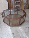 Octagonal Wildlife Display/Coffee Table 1 small