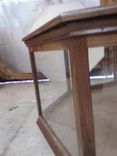 Octagonal Wildlife Display/Coffee Table 3 small
