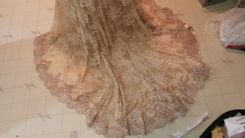 Elegant Beige Evening Gown 2 small
