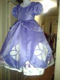 Princess Sofia Costume 2 small