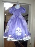 Princess Sofia Costume 1 small